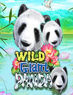 สมัคร มา ค่า ร่าค่าย pg ฝาก 20 รับ 100 บอกเลยว่าง่ายสุด